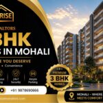 Best 3 BHK Flats in Mohali